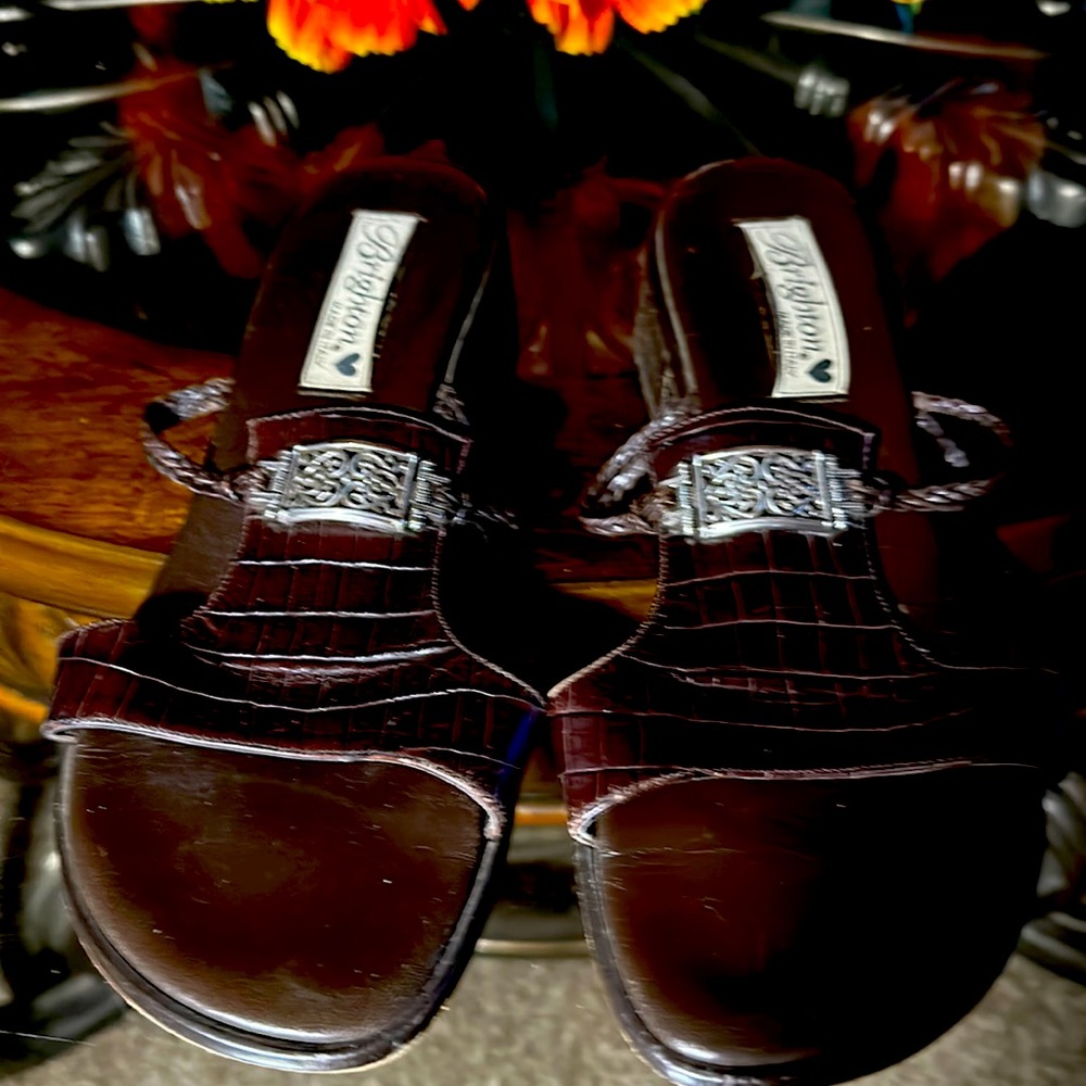 Stylish Brown Women Shoes